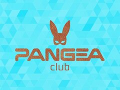 Club Pangea Vienna cautam fete pentru colaborare. Se asigura transportul